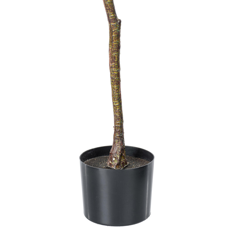 Beachcrest Home Artificial Potted Milan Leaf Tree in Black Planters Pot